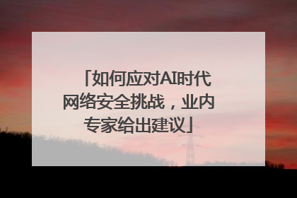 如何应对AI时代网络安全挑战，业内专家给出建议